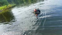 Submerged vehicle in Lake Sinclair in Middle Georgia