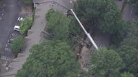 Atlanta worker hospitalized after tree hits bucket truck