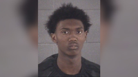 Crime spree in Spalding County ends after shooting, 2 arrested