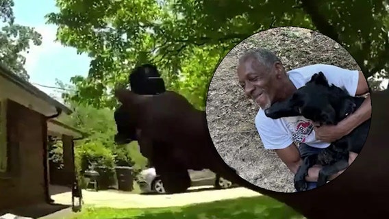 Body camera video shows deputy fatally shoot service dog