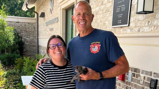Kitten rescued by Sandy Springs firefighters from storm drain gets furever home