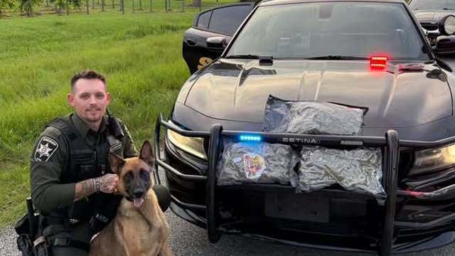Stephens County drug bust: K-9 Ria finds 3.5 pounds of marijuana on Highway 365