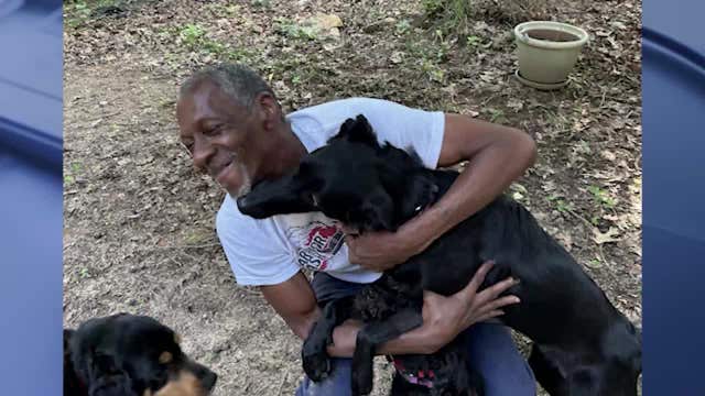 Service dog shot and killed by Cobb County deputy on Forrest Hill Road