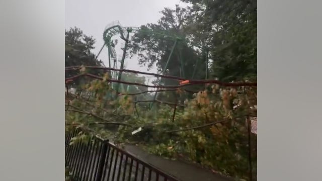 4 struck by fallen tree near Six Flags Over Georgia entrance