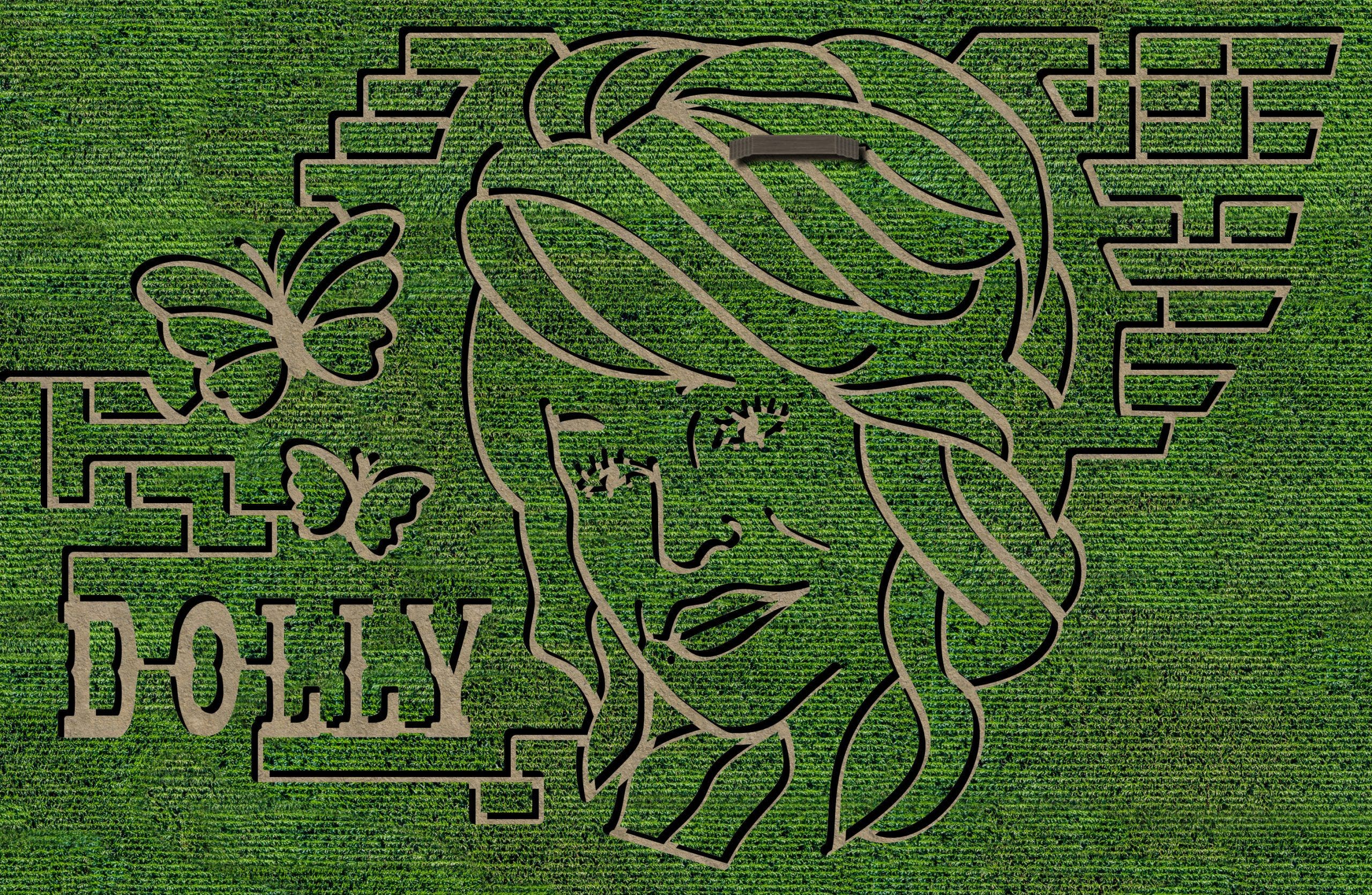 Georgia farm transforming its fall maze into a Dolly Parton tribute