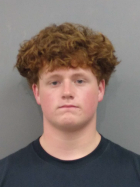 Son of former NFL player, reality TV star faces sexual battery, sodomy charges
