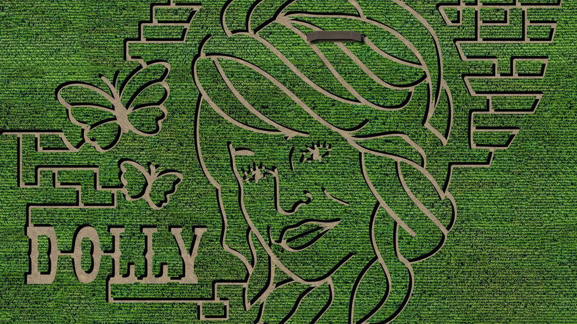 Georgia farm transformed its fall maze into a Dolly Parton tribute