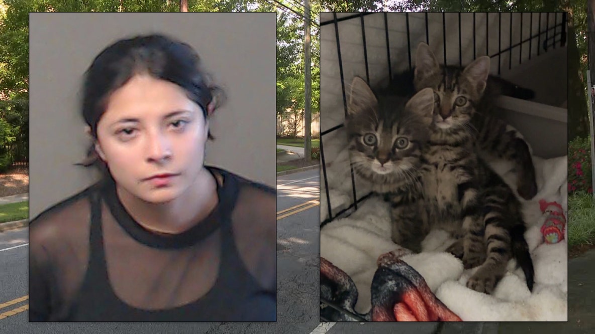 Georgia woman arrested after kittens thrown from vehicle, police say