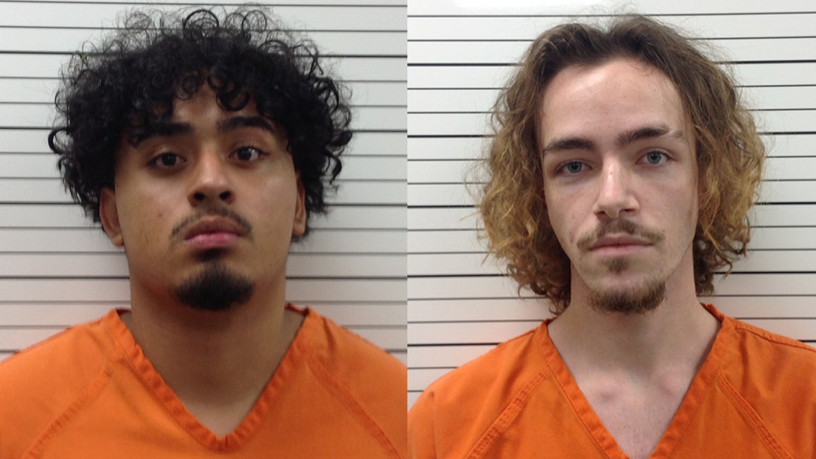 Talking Rock gunfire leads to high-speed chase, K-9 capture