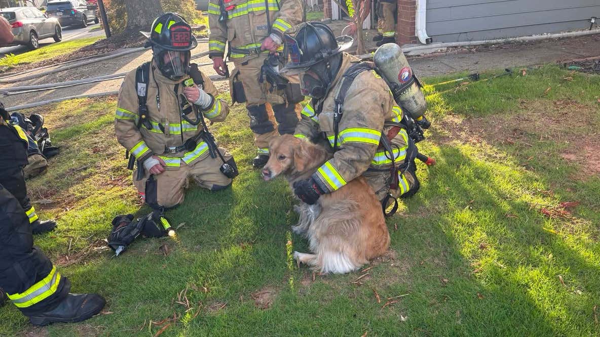 Neighbor's quick 911 call leads to dog rescue by Roswell Fire