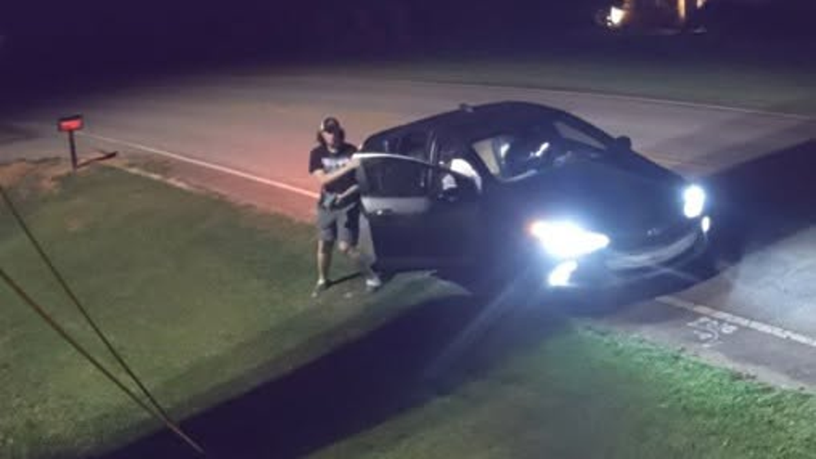 Henry County Police search for man accused of vandalizing Flock cameras