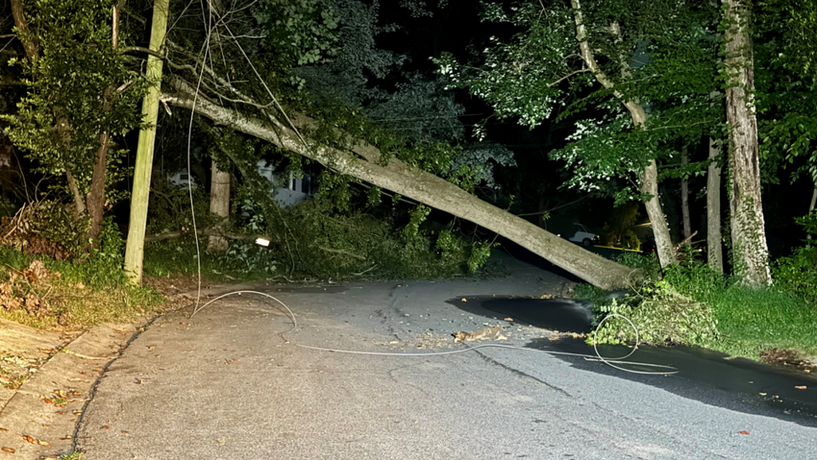Power lines taken down by tree in Doraville, residents impacted