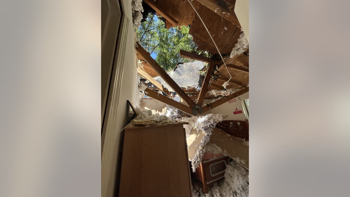 Massive tree crashes into Monroe home, displacing family