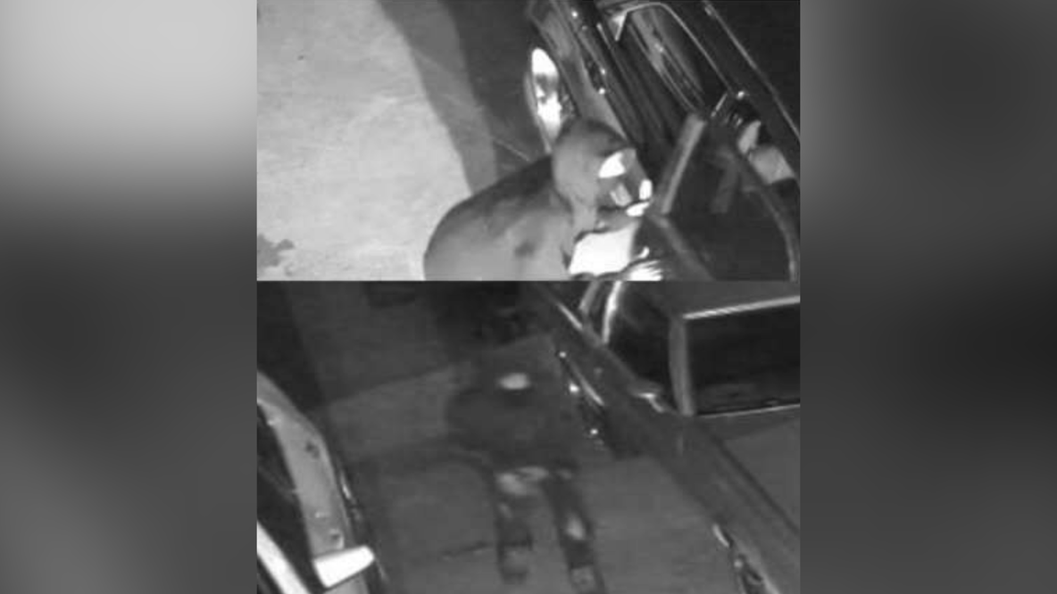Police search for man accused in South Fulton car break-in