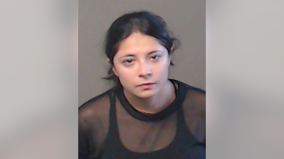 Brookhaven Police: Woman arrested after kittens thrown from vehicle
