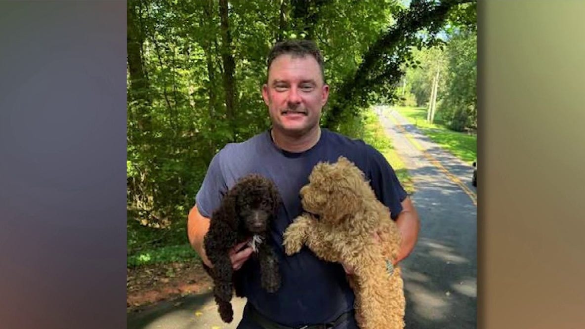 Woman, dogs rescued after massive tree crashes on Barrow Co. house