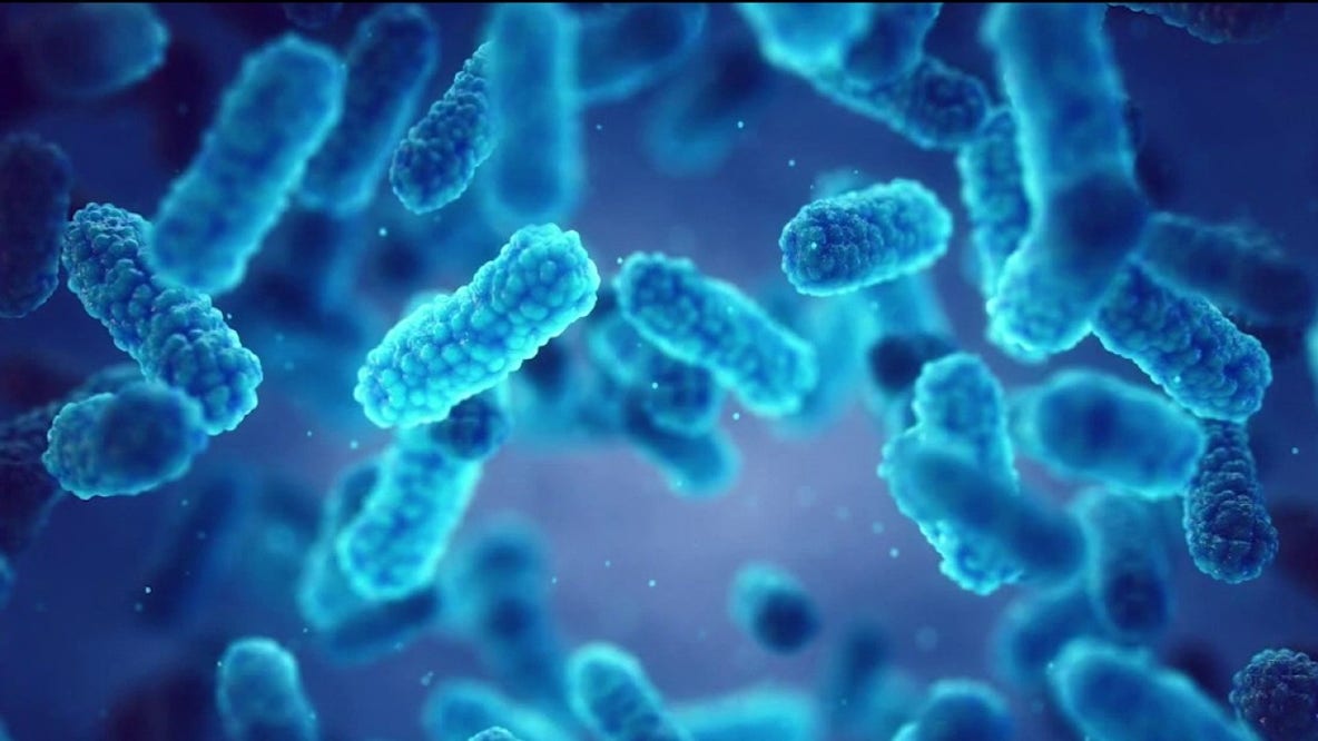 Drug-resistant fungus cases rise in Georgia, CDC says