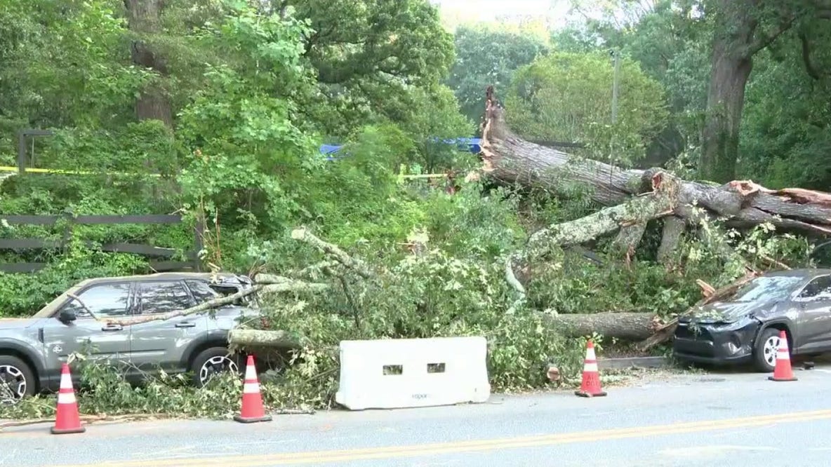 Large tree crushes cars overnight near Chastain Park
