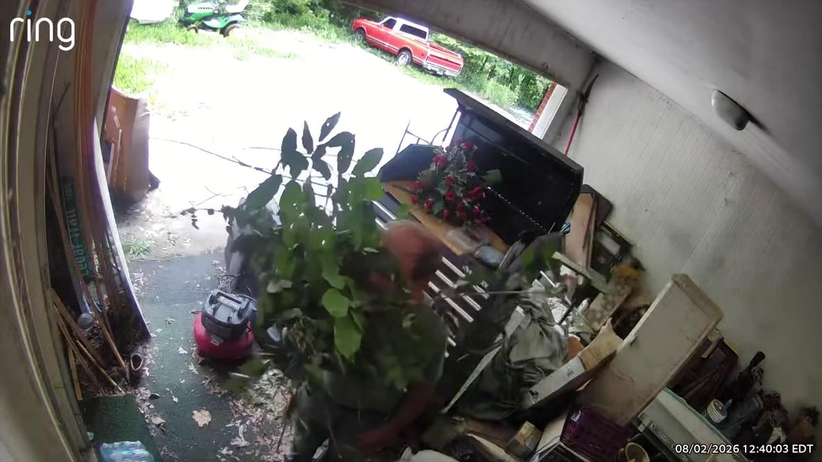 Pickens County suspect uses houseplant disguise after car theft