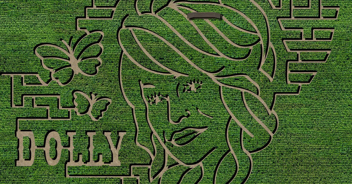 Georgia farm transformed its fall maze into a Dolly Parton tribute