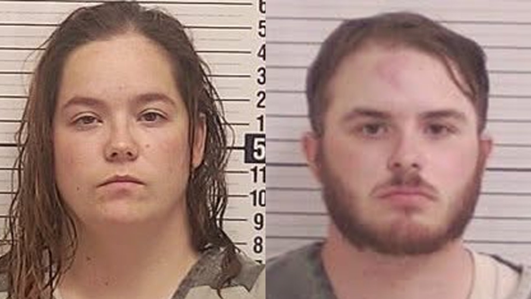 Flock camera helps nab Florida corrections officers in LEGO heist: deputies