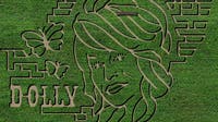 Georgia farm transformed its fall maze into a Dolly Parton tribute