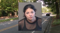Georgia woman arrested after kittens thrown from vehicle, police say