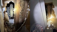 Man smashes through apartment wall, violently attacks teenage girl: Georgia police