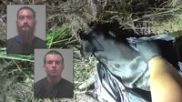 Young boy's brave alert leads deputies to dog trapped in trash bag