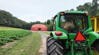 Burt's Pumpkin Farm unveils 45-foot drive-thru pumpkin in Dawsonville