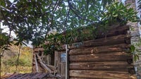 Historic Cobb County cabin to undergo $340K restoration