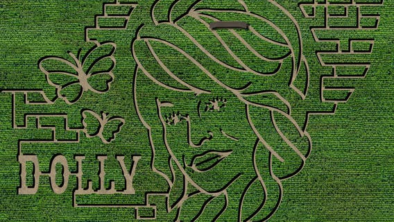 Georgia farm transforming its fall maze into a Dolly Parton tribute