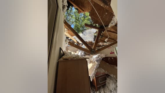 Massive tree crashes into Monroe home, displacing family