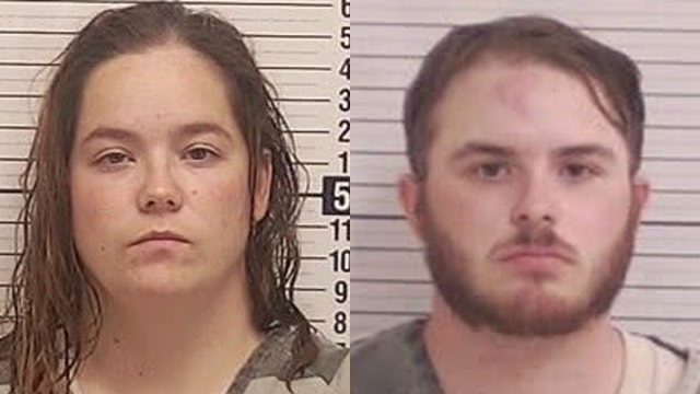 Flock camera helps nab Florida corrections officers in LEGO heist: deputies