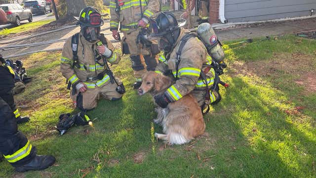 Neighbor's quick 911 call leads to dog rescue by Roswell Fire