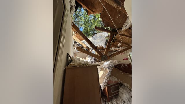 Massive tree crashes into Monroe home, displacing family