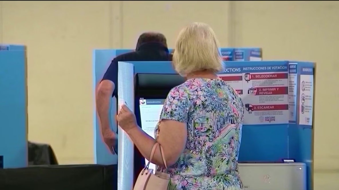 Voter registration in Georgia: Party leaders focus on turnout strategy