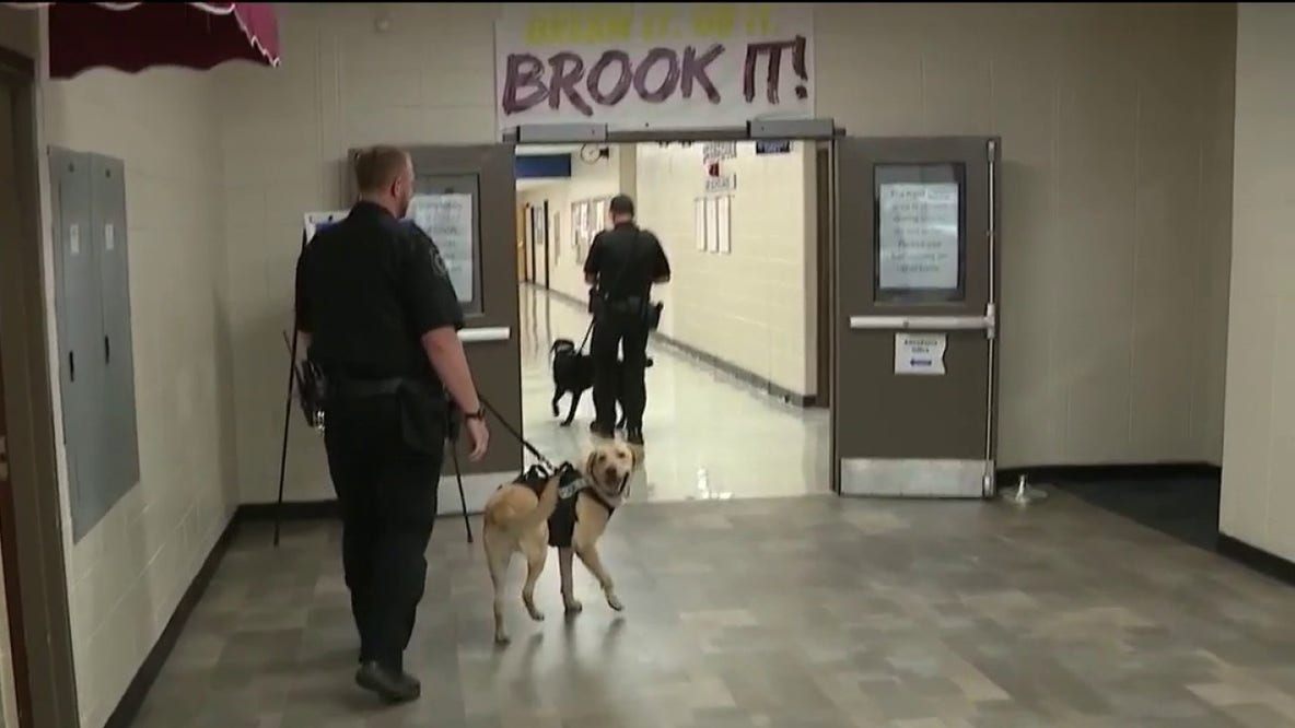 Cobb County expands K-9 security following armed student incident