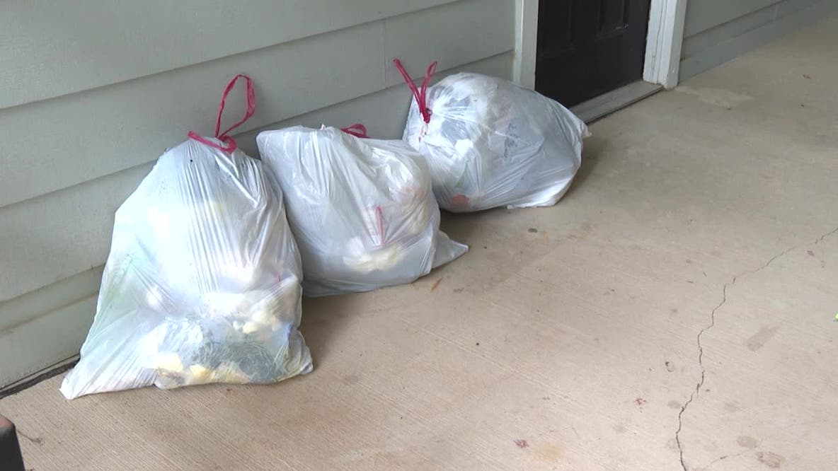 Pest infestation reported at Dunwoody apartment complex due to trash