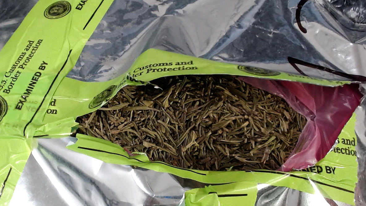 4,000 pounds of khat seized at Atlanta airport, CBP says