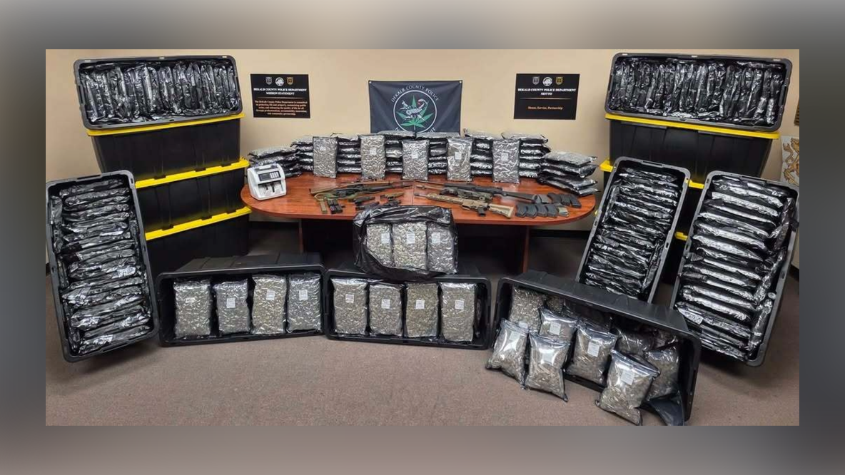 DeKalb Police seize 735 pounds of marijuana, 9 guns in drug bust