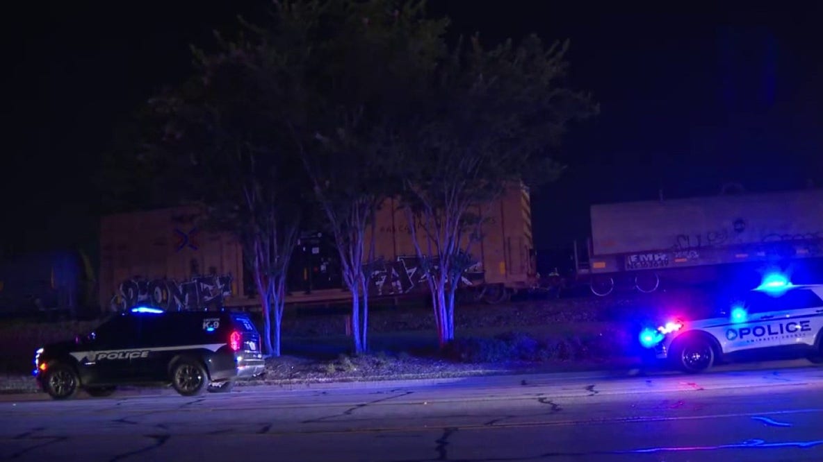 Pedestrian hit by train in Gwinnett County, police say