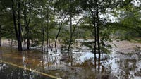 Metro Atlanta storms leave behind flooding, downed trees