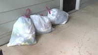 Pest infestation reported at Dunwoody apartment complex due to trash
