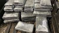 Atlanta man gets 10 years for smuggling cocaine in fruit shipments