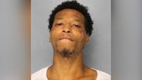 Taxi drivers targeted in Gainesville robbery spree