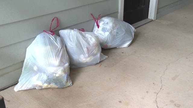 Pest infestation reported at Dunwoody apartment complex due to trash