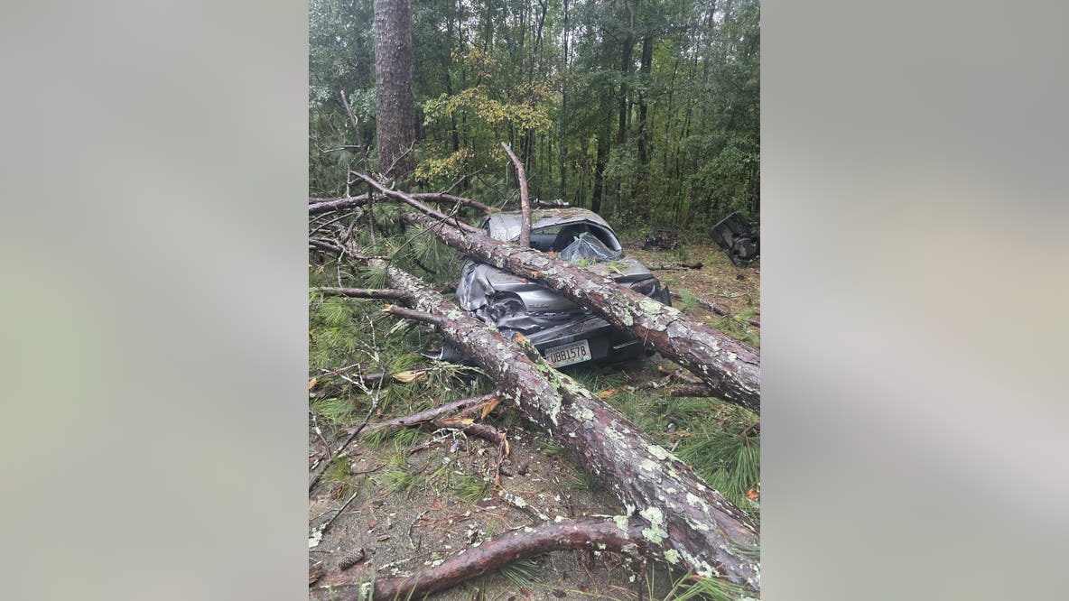 LIVE | Atlanta weather: Power outages, tree damage remain as storm threat moves east