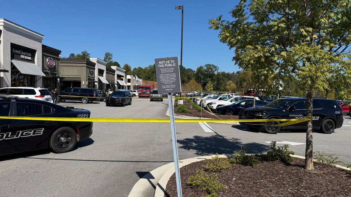 Vehicle hits pedestrian, store at Gainesville marketplace
