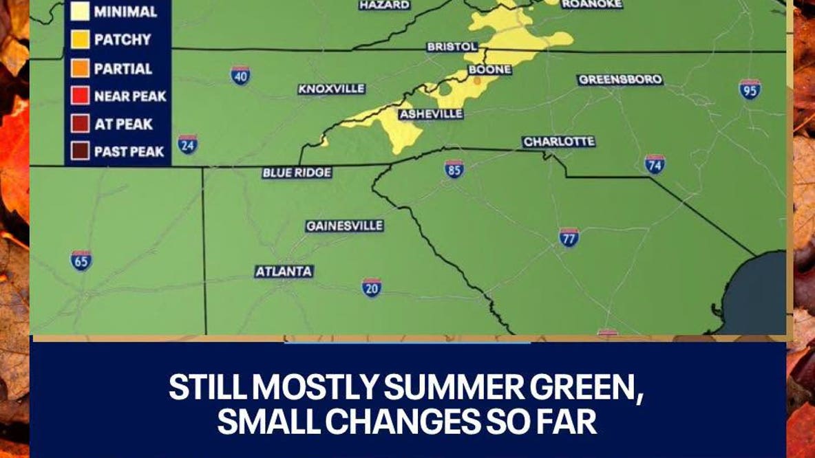 Georgia leaf watch: First fall colors peek through the green